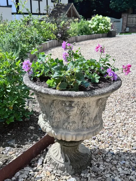 Summer Planters Old stone urn planted with pink & white geraniums - HP8