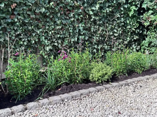 Filling Border Gap