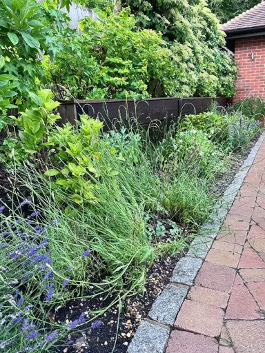 Reimagined Borders Mixed perennial planting near Chesham, UK