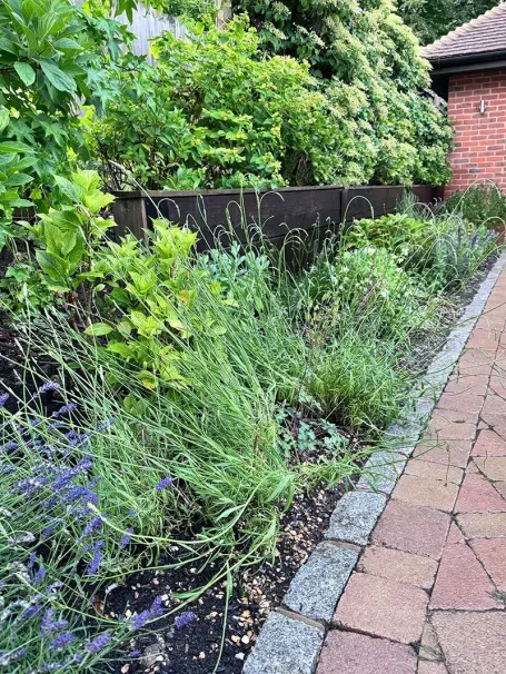Reimagined Borders Mixed perennial planting near Chesham, UK