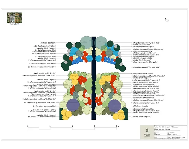 Planting Plan of a large formal flower bed made using Vectorworks by Hortus Viridis. Plan shows recommended plant combinations and volumes.