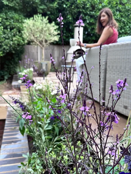 Raised Beds, Beaconsfield Romantic style pale pink, purple & white planting for new raised beds - recently upgraded patio in Candlemas Lane, Beaconsfield, UK