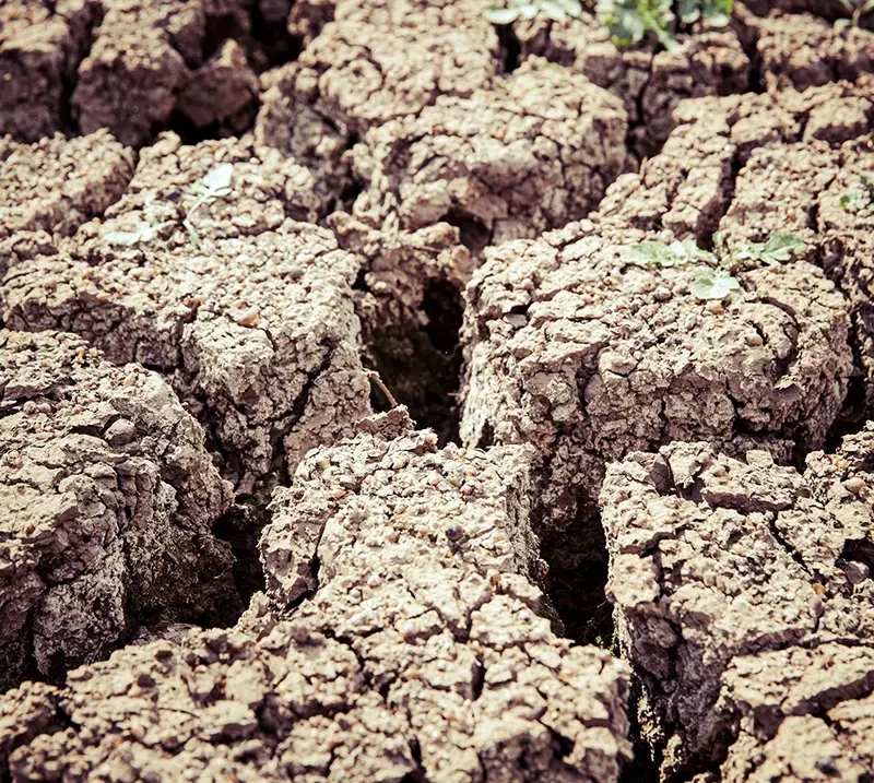 Close up image of some dry & heavily cracked clay soil. Credit Unsplash Image.