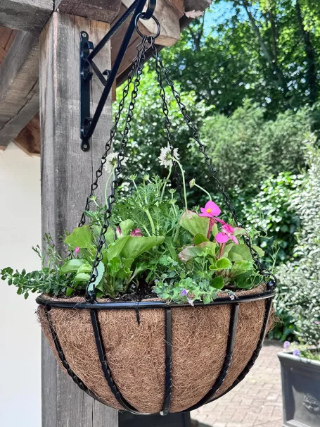Amersham Baskets 16 inch hanging basket, planted with summer selection of hardy annuals