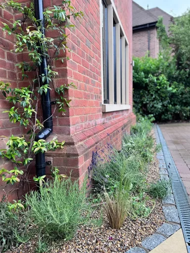 Chesham Bois Planting New Perennial Border - Chesham Bois