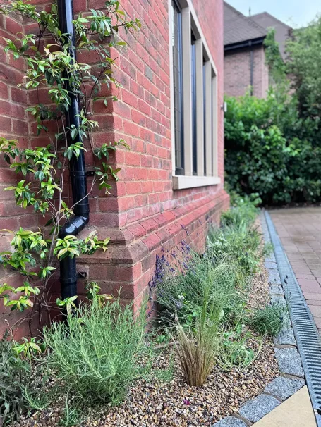 Chesham Bois Planting New Perennial Border - Chesham Bois