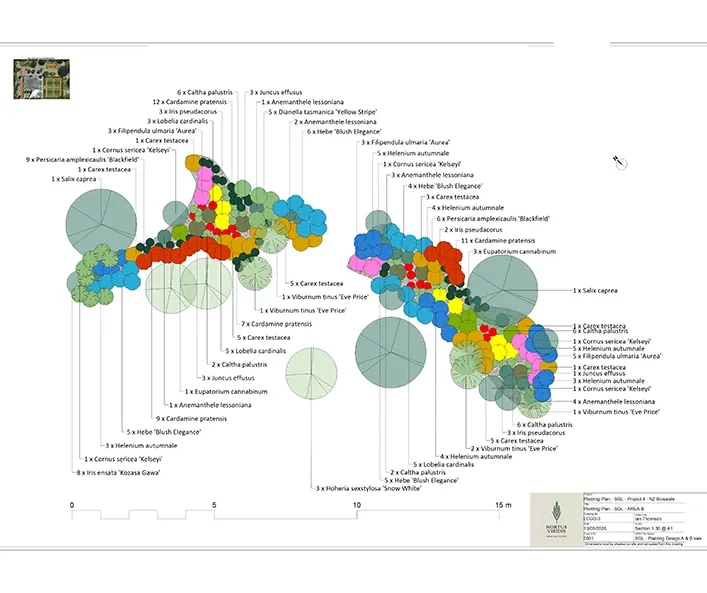 A black and white example of a Hortus Viridis Planting Plan, showing number of species of plants recommended for a local Chalfont bioswale.