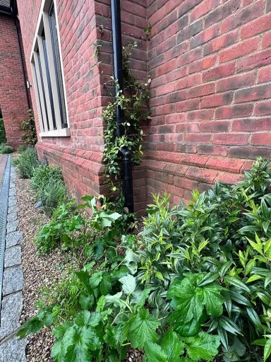 10mm Pea Shingle Mulch Newly Planted Border - Chesham Bois (HP6)
