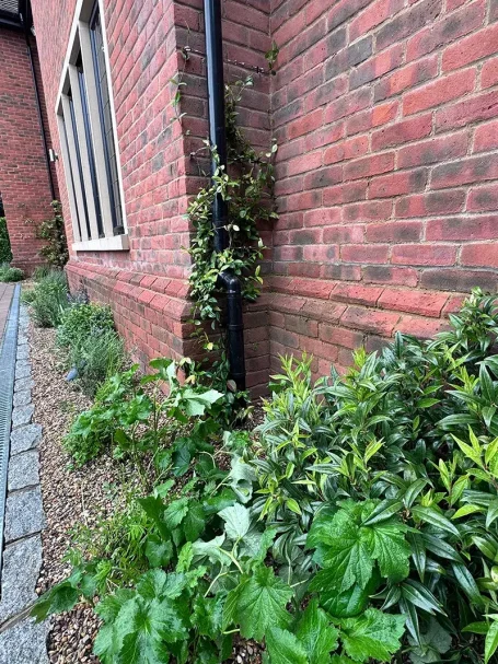 10mm Pea Shingle Mulch Newly Planted Border - Chesham Bois (HP6)