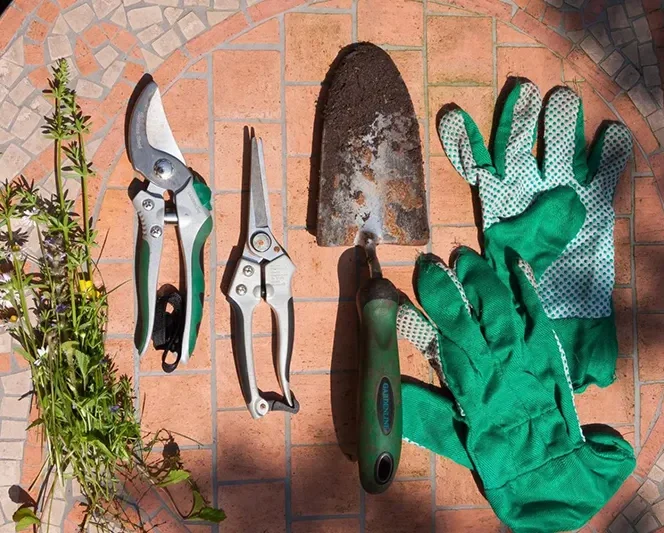 Essential garden tools, used by Hortus Viridis